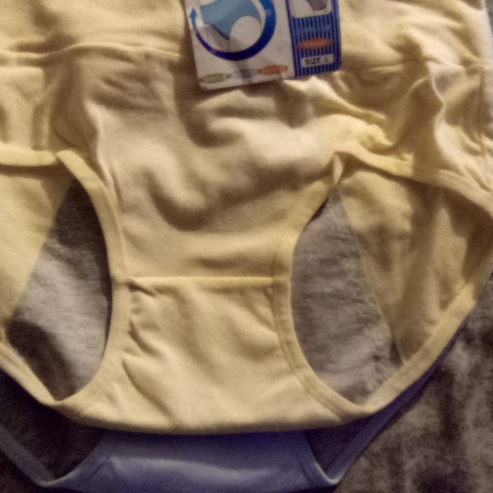 Period Panties. They do not leak.